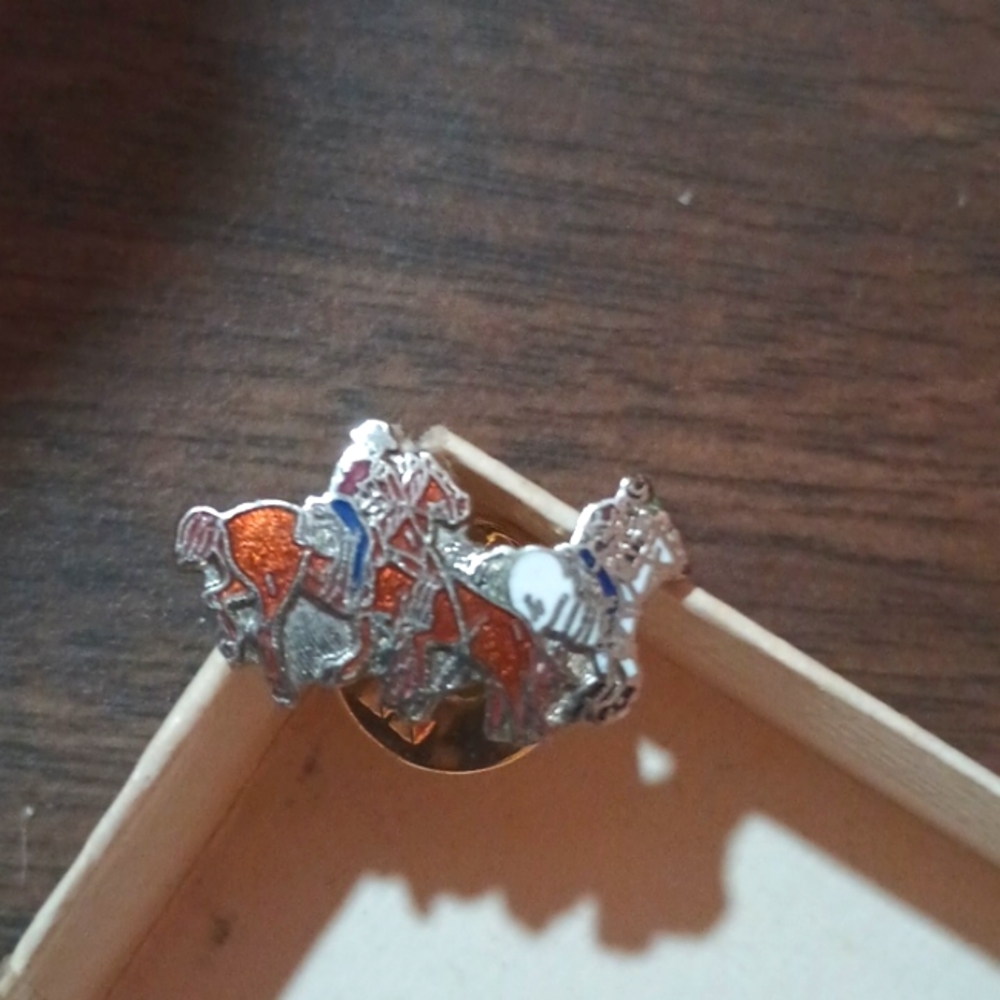 Small Team Roper Enamel pin